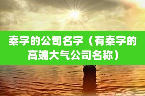 秦字的公司名字(有秦字的高端大气公司名称)