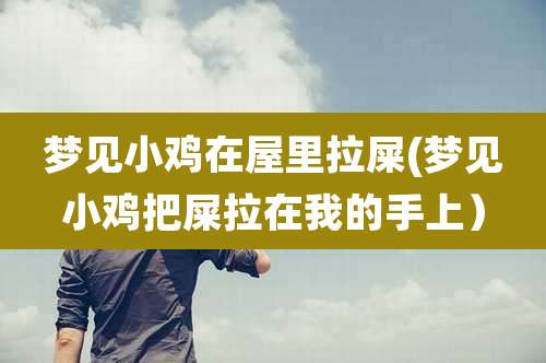 梦见小鸡在屋里拉屎(梦见小鸡把屎拉在我的手上)