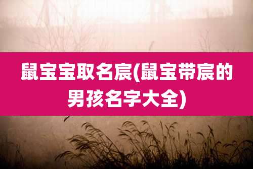 鼠宝宝取名宸(鼠宝带宸的男孩名字大全)