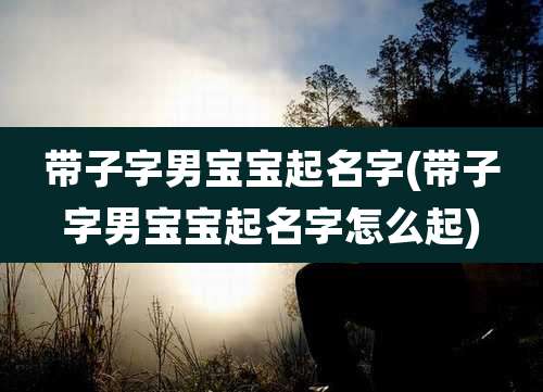 带子字男宝宝起名字(带子字男宝宝起名字怎么起)