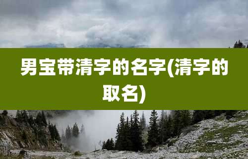男宝带清字的名字(清字的取名)