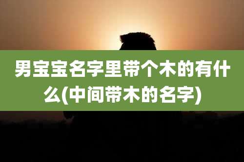 男宝宝名字里带个木的有什么(中间带木的名字)