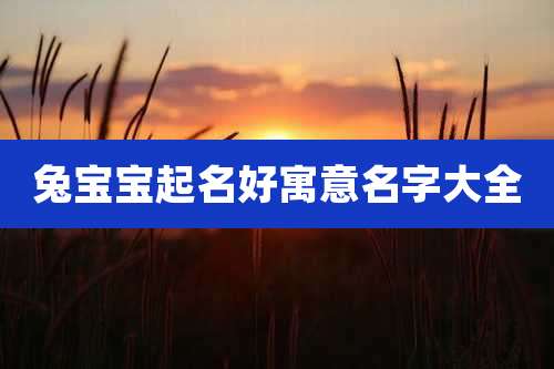 兔宝宝起名好寓意名字大全