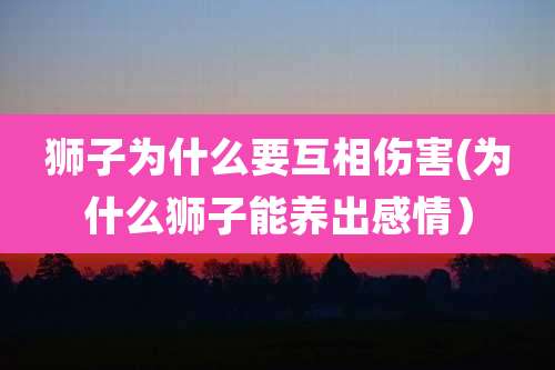 狮子为什么要互相伤害(为什么狮子能养出感情）