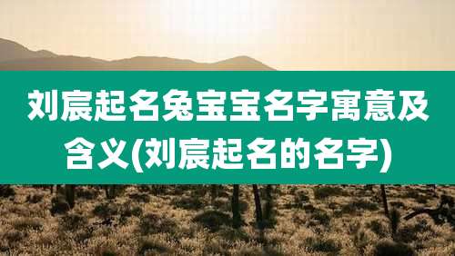 刘宸起名兔宝宝名字寓意及含义(刘宸起名的名字)