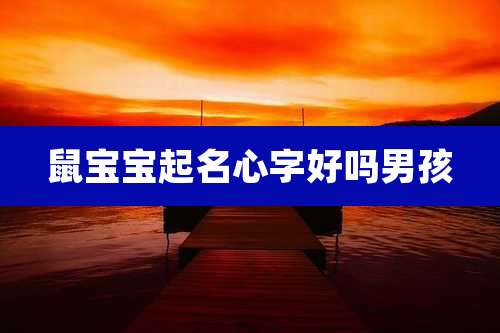 鼠宝宝起名心字好吗男孩