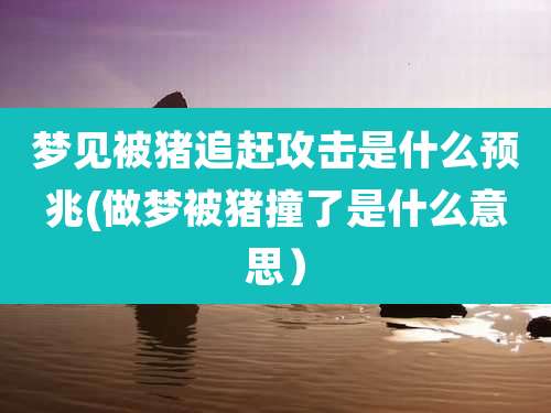 梦见被猪追赶攻击是什么预兆(做梦被猪撞了是什么意思）