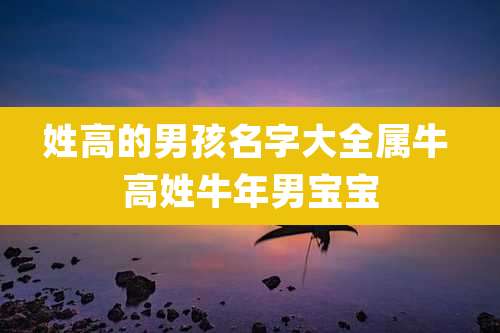 姓高的男孩名字大全属牛 高姓牛年男宝宝