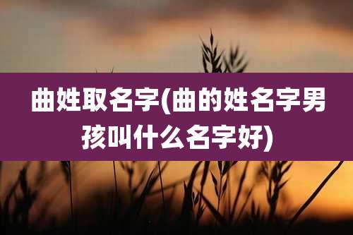曲姓取名字(曲的姓名字男孩叫什么名字好)