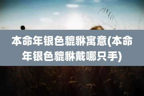 本命年银色貔貅寓意(本命年银色貔貅戴哪只手)