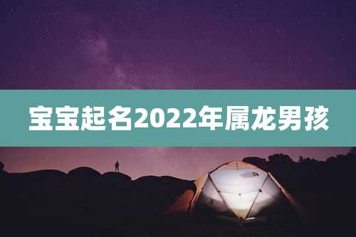 宝宝起名2022年属龙男孩