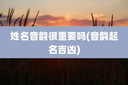 姓名音韵很重要吗(音韵起名吉凶)