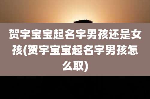 贺字宝宝起名字男孩还是女孩(贺字宝宝起名字男孩怎么取)