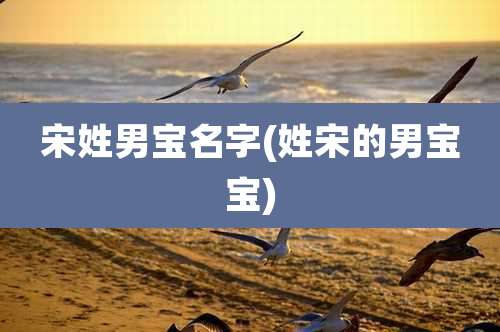 宋姓男宝名字(姓宋的男宝宝)