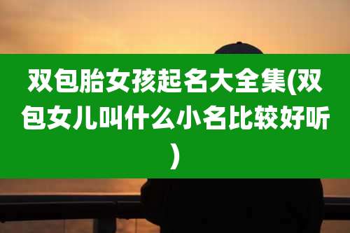 双包胎女孩起名大全集(双包女儿叫什么小名比较好听)