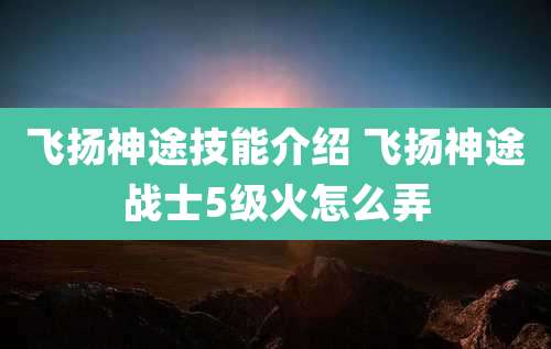 飞扬神途技能介绍 飞扬神途战士5级火怎么弄