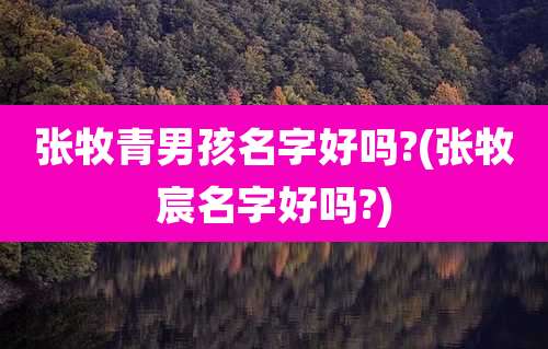 张牧青男孩名字好吗?(张牧宸名字好吗?)