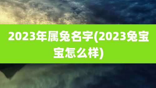 2023年属兔名字(2023兔宝宝怎么样)