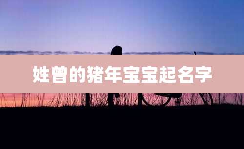 姓曾的猪年宝宝起名字