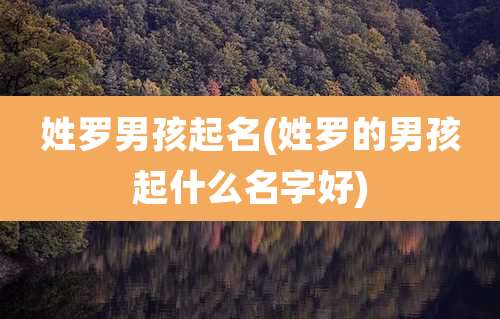 姓罗男孩起名(姓罗的男孩起什么名字好)