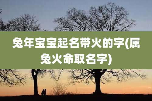 兔年宝宝起名带火的字(属兔火命取名字)