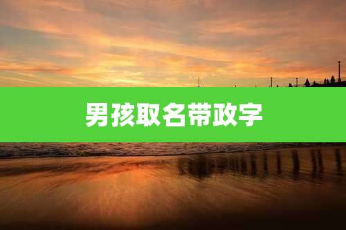 男孩取名带政字