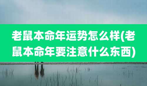 老鼠本命年运势怎么样(老鼠本命年要注意什么东西)