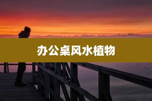 办公桌风水植物