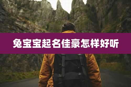 兔宝宝起名佳豪怎样好听