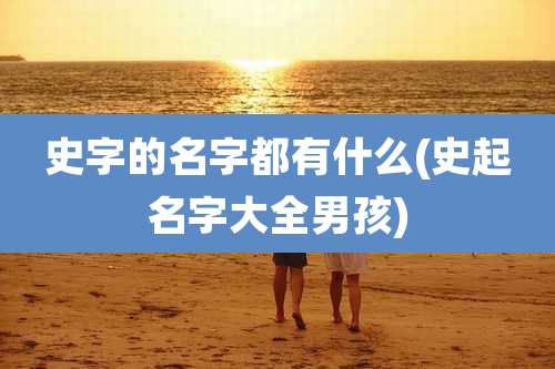 史字的名字都有什么(史起名字大全男孩)