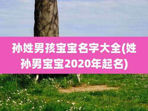 孙姓男孩宝宝名字大全(姓孙男宝宝2020年起名)