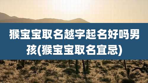 猴宝宝取名越字起名好吗男孩(猴宝宝取名宜忌)