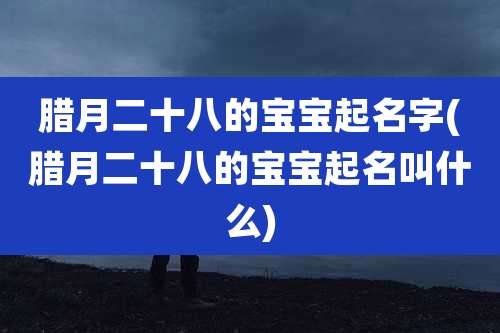 腊月二十八的宝宝起名字(腊月二十八的宝宝起名叫什么)