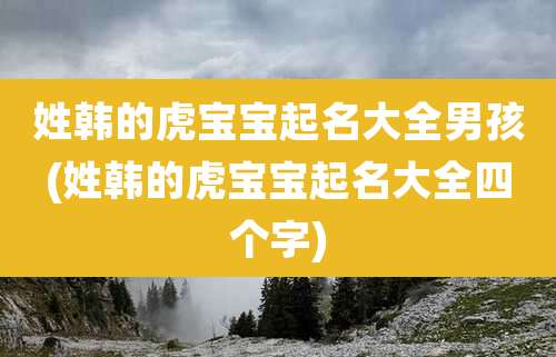 姓韩的虎宝宝起名大全男孩(姓韩的虎宝宝起名大全四个字)