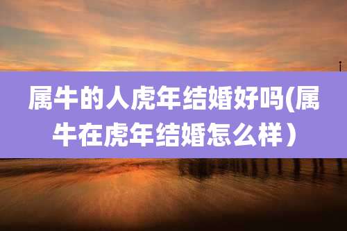 属牛的人虎年结婚好吗(属牛在虎年结婚怎么样）