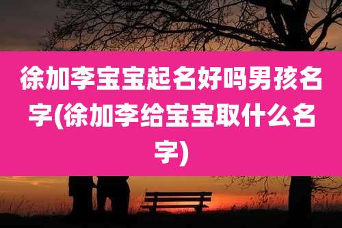 徐加李宝宝起名好吗男孩名字(徐加李给宝宝取什么名字)