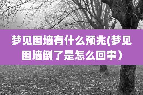 梦见围墙有什么预兆(梦见围墙倒了是怎么回事）