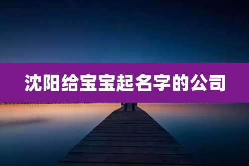 沈阳给宝宝起名字的公司