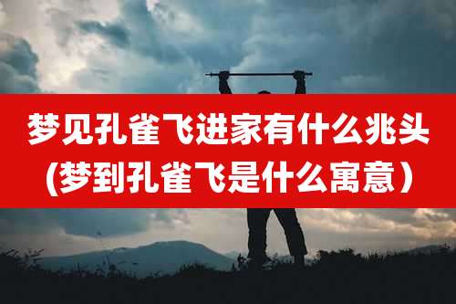 梦见孔雀飞进家有什么兆头(梦到孔雀飞是什么寓意)