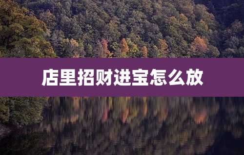 店里招财进宝怎么放