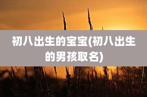 初八出生的宝宝(初八出生的男孩取名)
