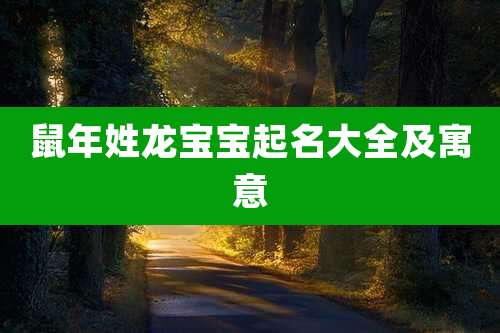 鼠年姓龙宝宝起名大全及寓意