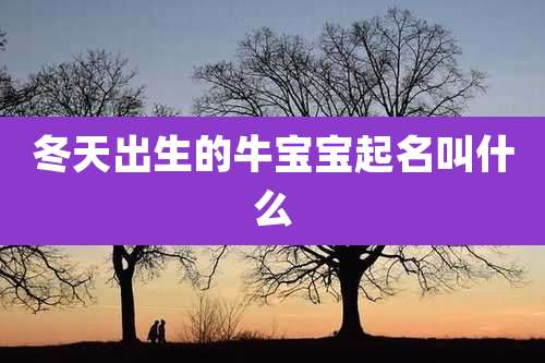 冬天出生的牛宝宝起名叫什么