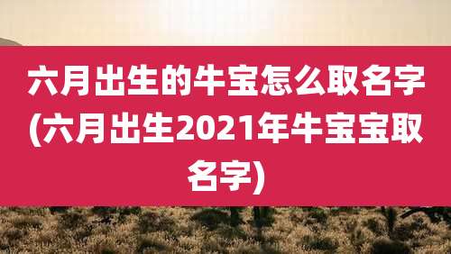 六月出生的牛宝怎么取名字(六月出生2021年牛宝宝取名字)