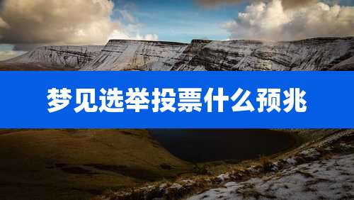梦见选举投票什么预兆