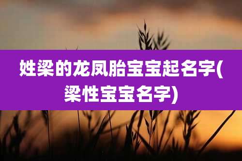 姓梁的龙凤胎宝宝起名字(梁性宝宝名字)