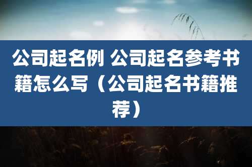 公司起名例 公司起名参考书籍怎么写(公司起名书籍推荐)