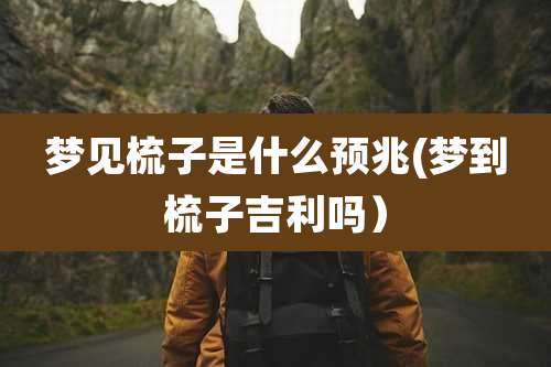 梦见梳子是什么预兆(梦到梳子吉利吗)