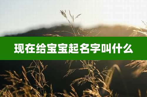 现在给宝宝起名字叫什么