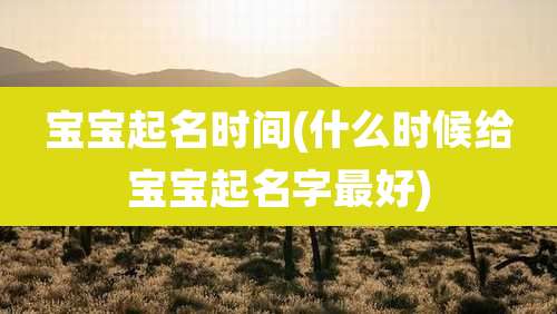 宝宝起名时间(什么时候给宝宝起名字最好)